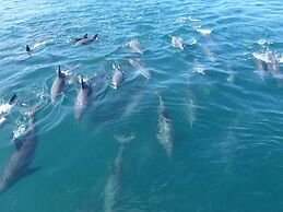 Obama-onsen Hamakan Hotel