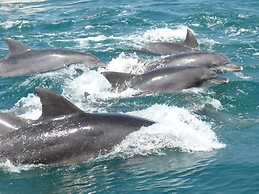 Obama-onsen Hamakan Hotel