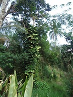 Relaxed Style of Stay