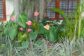 Relaxed Style of Stay