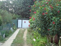 Relaxed Style of Stay