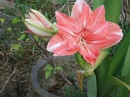 Relaxed Style of Stay