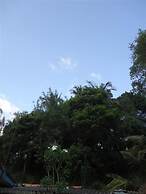 Relaxed Style of Stay