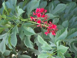 Relaxed Style of Stay