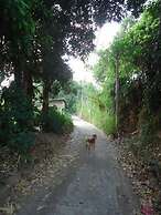 Relaxed Style of Stay