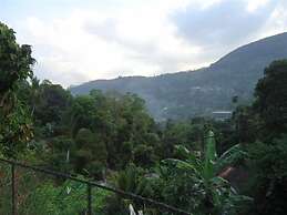 Relaxed Style of Stay