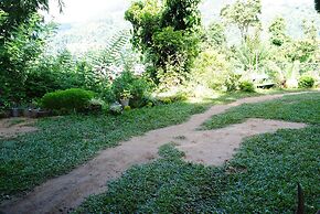 Relaxed Style of Stay