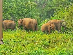 Sisira Natural Lodge