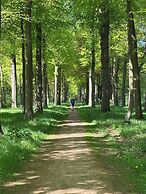 De Zon Hotel & Restaurant by Flow