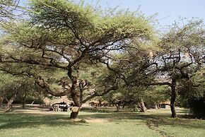 Lake Natron Tented Camp