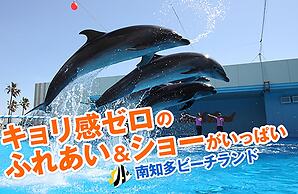 Spring Sunny Hotel Nagoya Tokoname