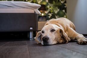 Wellness & Spa Boutique Hotel Villa Memories