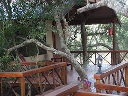 Lion Tree Top Lodge