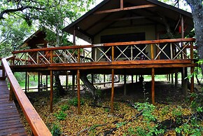 Lion Tree Top Lodge