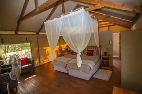 Lion Tree Top Lodge