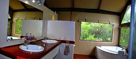 Lion Tree Top Lodge