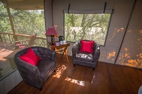 Lion Tree Top Lodge