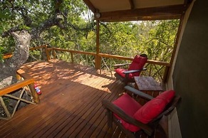 Lion Tree Top Lodge