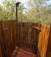 Lion Tree Top Lodge