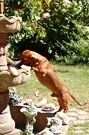 Posada del Parque Lodge