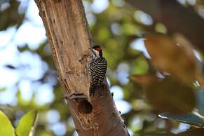 Posada del Parque Lodge
