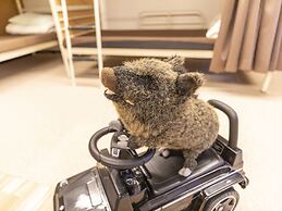 OMOTENASHI Hostel Miyajima