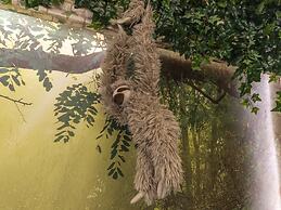 OMOTENASHI Hostel Miyajima