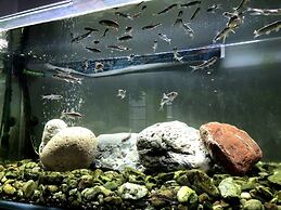 Tosawashi Kougeimura QRAUD