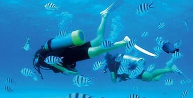 Ma-Blue Garden House