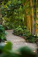 Jacana Amazon Wellness Resort