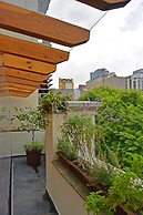 Senia Reforma