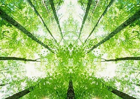 ibis budget Rueil Malmaison