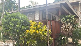 Coconut Tree West Bay