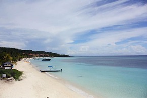 Coconut Tree West Bay