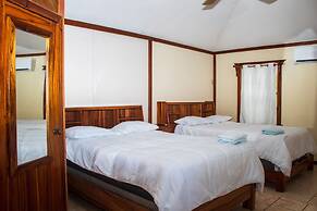 Coconut Tree West Bay