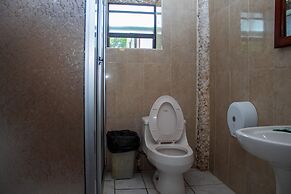 Coconut Tree West Bay