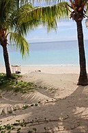 Coconut Tree West Bay