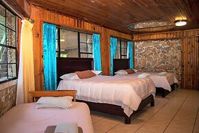 Coconut Tree West Bay