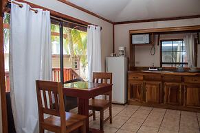 Coconut Tree West Bay