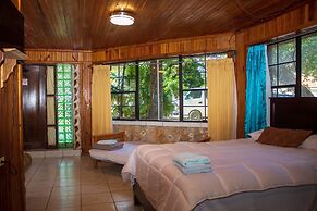 Coconut Tree West Bay