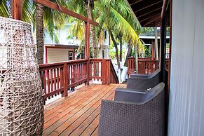 Coconut Tree West Bay