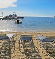 Coconut Tree West Bay