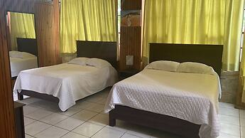 Coconut Tree West Bay