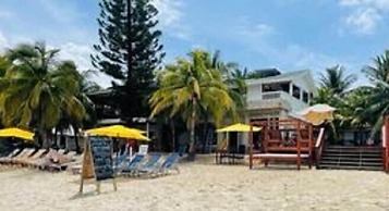 Coconut Tree West Bay