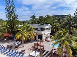 Coconut Tree West Bay