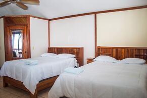 Coconut Tree West Bay