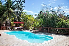 Coconut Tree West Bay