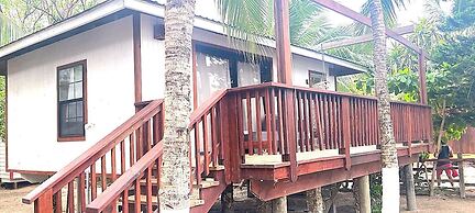 Coconut Tree West Bay