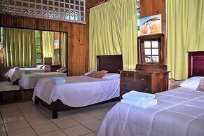 Coconut Tree West Bay