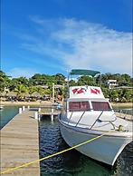 Coconut Tree West Bay